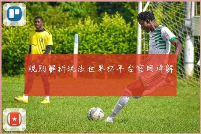规则解析玩法世界杯平台官网详解