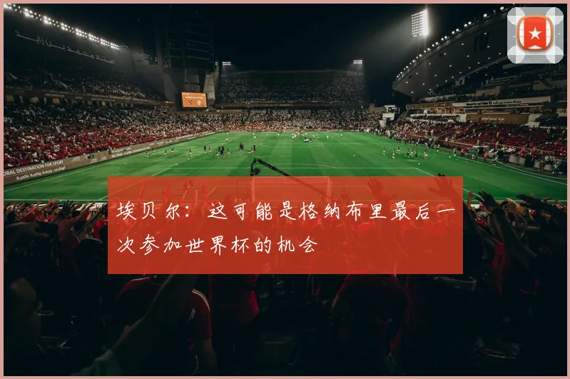 埃贝尔：这可能是格纳布里最后一次参加世界杯的机会